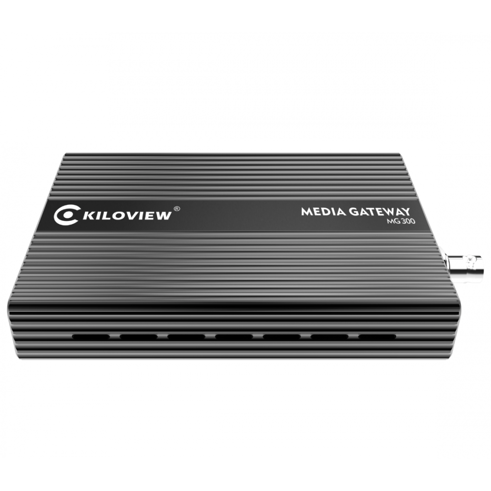MG300 IP Video Media Gateway